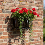 Hand Forged Wrought Iron Planter Basket (Available in Gold or Copper Patina) Wall Mounted Flower Holder - Image 5